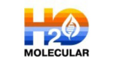 H2O Molecular