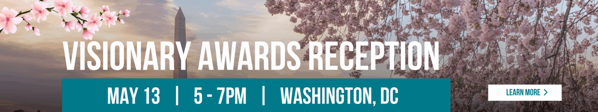 Visionary Awards